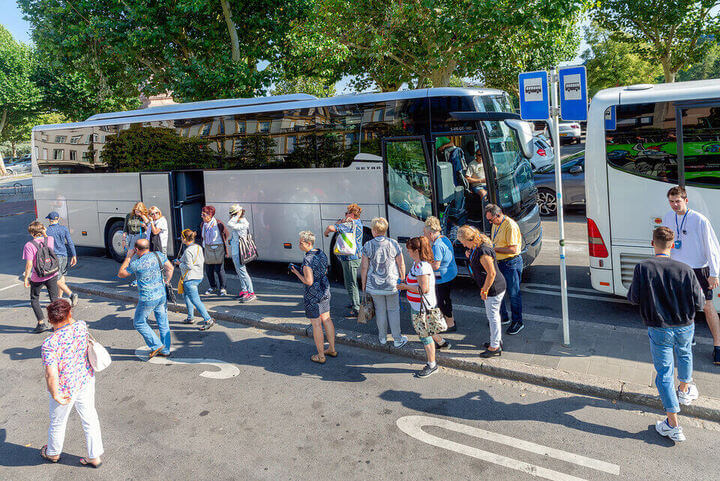  School Charter Bus Rental St.Petersburg